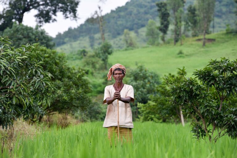 Image of a man around green vegetation.